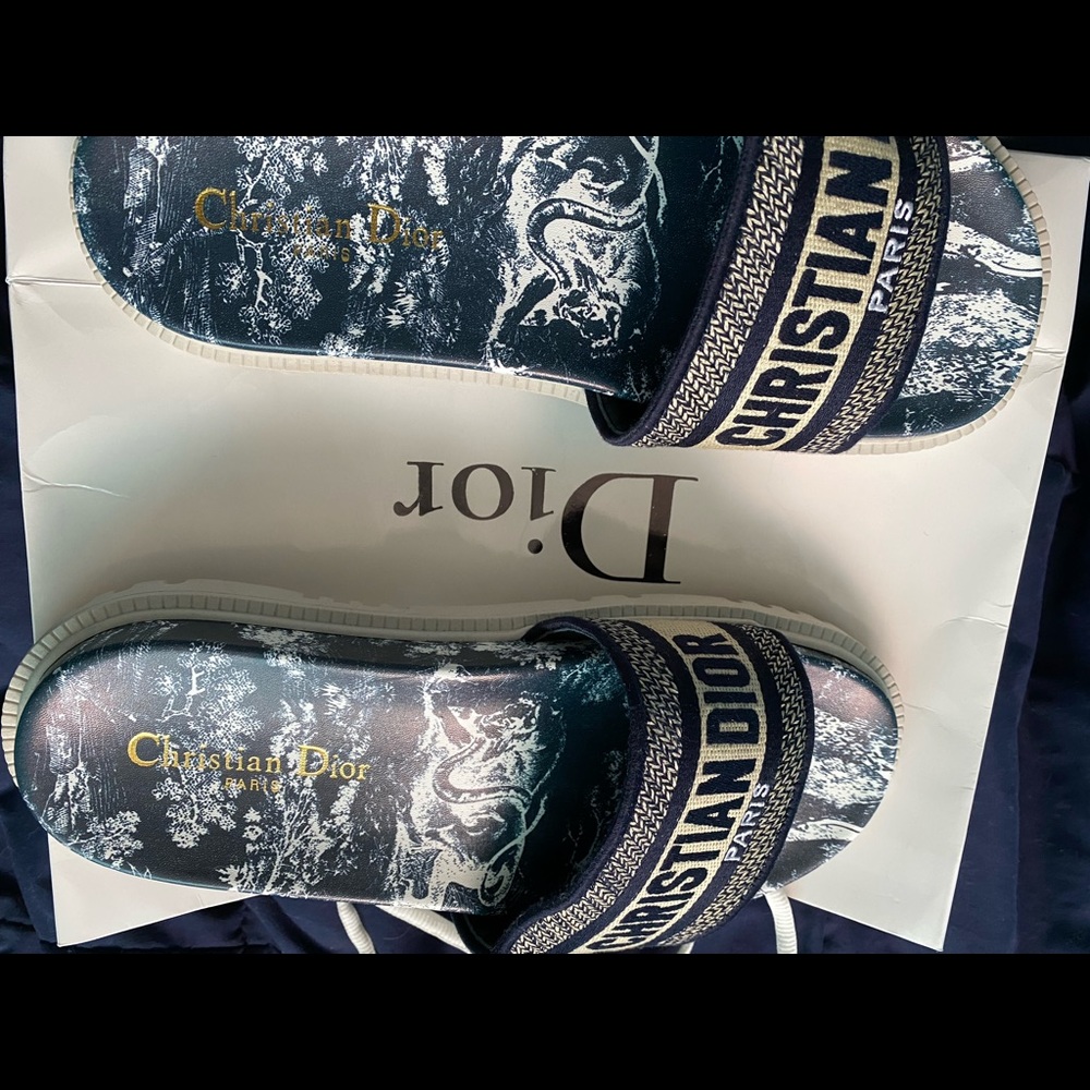 Dior slides